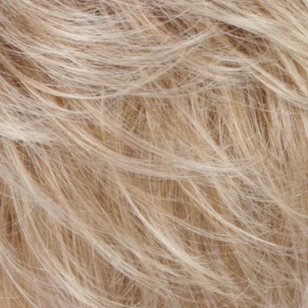 RT613/27 | Light Auburn Tipped w/Pale Blonde