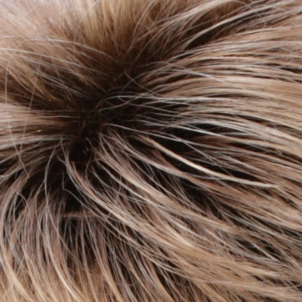R20RT8 | Light Auburn/Golden Blonde Frost w/Golden Brown Roots