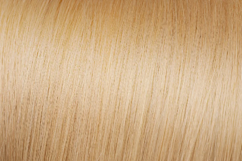 Clip - in hair extensions with a pre - bleClip-In Extensions: Medium Golden Blonde #24 Clip - in hair extensions with a pre - bleClip-In Extensions: Medium Golden Blonde #24