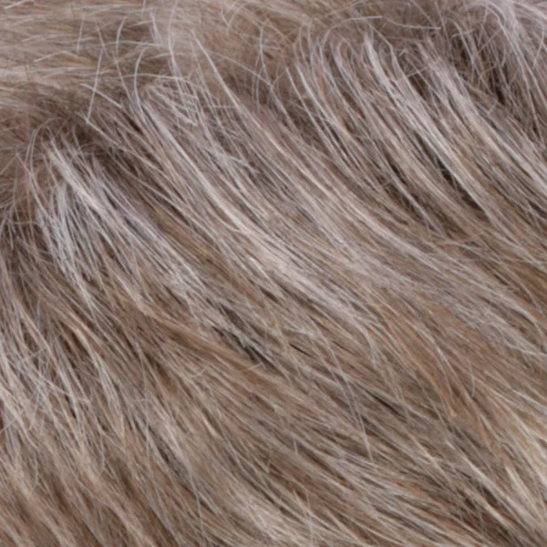 R17/101 | Ash Brown/Platinum Blonde Blend