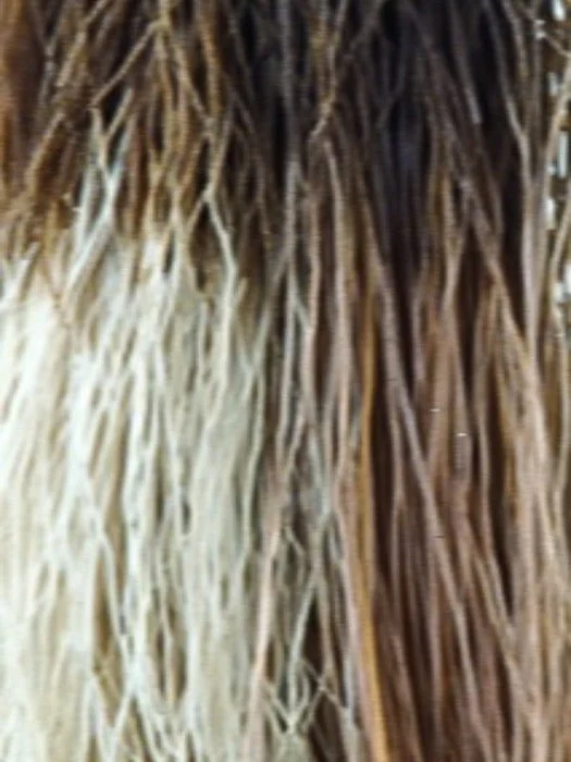 Nutmeg F | Rooted Dark with Honey Brown base with Platinum Blonde highlight