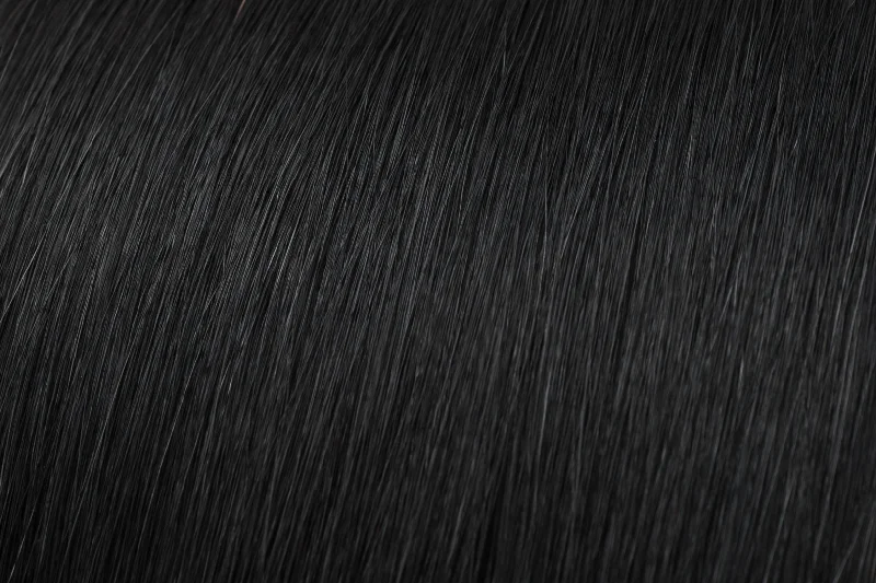 Clip - in hair extensions with a pre - bleSeamless Clip-In Extension: Jet Black #1